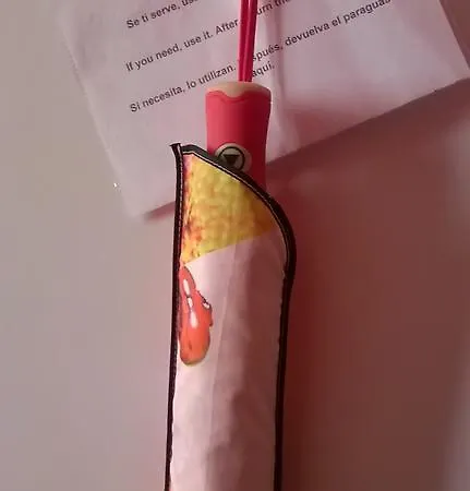 게스트하우스 Dama Di 로마